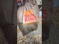 Burger King meal cost $9.50 full video on tik tok: Mr.moo0d #foodies #burgerking #burgers