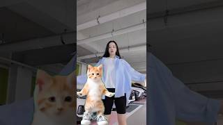 고양이와 춤을춰요😻 I dance with a cat