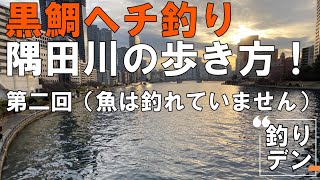 黒鯛ヘチ釣り隅田川の歩き方・第二回！下流編