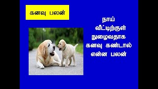 நாய் வீட்டிற்குள் நுழைவதாக கனவு கண்டால் என்ன பலன்/Whatthe benefit of dreaming dog entering the house