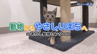 No.1284   海峡のまち明石「動物にもやさしいまちへ～あかし動物センター～」