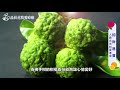 招財進寶精油心靈噴霧｜心靈噴霧手作課01｜晶荷花精愛療癒