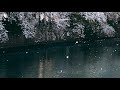 悲恋花／福島はじめ／よしお