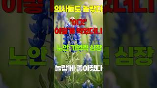 의사들도 놀랐다 ‘이것’이렇게 먹었더니 노안 기억력 심장 놀랍게 좋아 졌어요 / 50살 이상 건강지키는 법