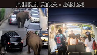 Elephant escapes and roams Phuket streets, Online TM6, Father fatally throws son || Thailand News