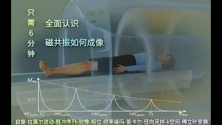 三维演示磁共振成像（MRI）原理！