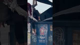 Lost In Phoenix Shortsvideo