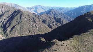 El vuelo del condor