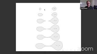 Bruce Kleiner: Developments in 3d Ricci flow since Perelman