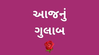 આજનું ગુલાબ