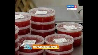 Магаданская рыба заменила значительную часть российского импорта