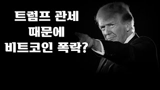 트럼프 관세 때문에 비트코인 폭락? 이걸 보세요