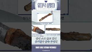 [유지식상팔자 EP.2] 은빛 칼날에 담긴 백제의 숨결