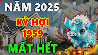 Tử vi năm 2025 KỶ HỢI 1959, tránh 3 điều này, thuận lợi vượt qua năm xung, tháng hạn