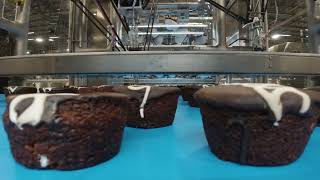 High-Speed Flow-Wrapper Loading of Cupcakes | JLS Automation