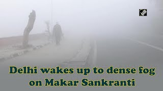 Delhi wakes up to dense fog on Makar Sankranti