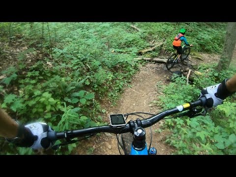 Riding North Georgia with Dawson Part 2 - Stanley Gap Riding North Georgia with Dawson Part 2 - Stanley Gap