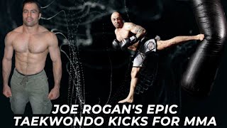 Joe Rogan's Taekwondo Kicks in MMA Fights