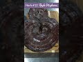 Herb #12: Reishi Mushroom (23 Herbs to Try in 2023)