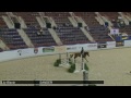 644 sander lily blavin class 48b equitation schooling b