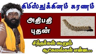 கிமிஸ்துக்கினம் கரணம் - அதிபதி புதன்.... சித்தர்கள் கூறும் சூட்சுமங்கள் என்ன !!!!