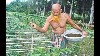 মাঠ ভরা সবজি নিয়ে বিপাকে কৃষকেরা! | Vegetables of BD | Somoy TV | #StayHome #WithMe