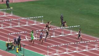 H29　南関東　男子110mH　予選3組