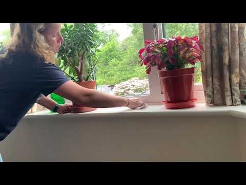 Asmr Dusting Polishing Spraying Cleaning Furniture Relaxing