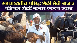 शेळी बाजार घोडेगाव | महाराष्ट्रातील प्रसिद्ध शेळी आणि मेंढी बाजार | Goat Market Ghodegav