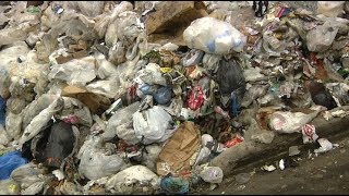 Garbage and recycling changes could be coming