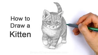 How to Draw a Kitten
