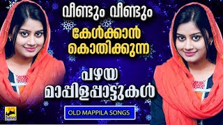 Old Mappila Songs | pazhaya mappila song | Pazhaiya Mappilapattukal | Old Mappila Pattukal Malayalam
