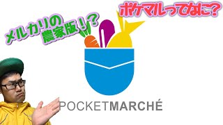 噂のポケットマルシェを使って野菜を買ってみた。