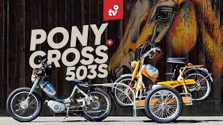 Wie STARTET man eine KOMPLETTREVISION?🔧 | PONY CROSS 503 S