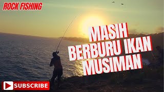 ROCK FISHING | MASIH BERBURU IKAN MUSIMAN