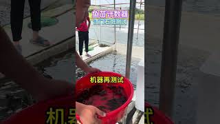 江门石斑上门测试#石斑#鱼苗计数器#水产养殖