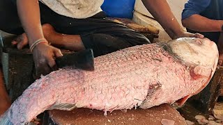 15 Kg Giant Catla Carp Fish Cutting Live In Bangladesh Fish Market | Fish Cutting Skills