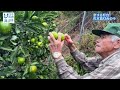 【高齢化の壁を超える】ポテンシャル無限大！恋する灯台の島・佐木島、若い力を求む　日本財団 海と日本project in 広島 2024 19