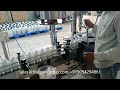 agrochemical pesticides bottle packing machine insecticide fertilizer filsilpek 919054294961