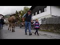 29. almabtrieb 17.09.2017 nauders am reschenpass austria