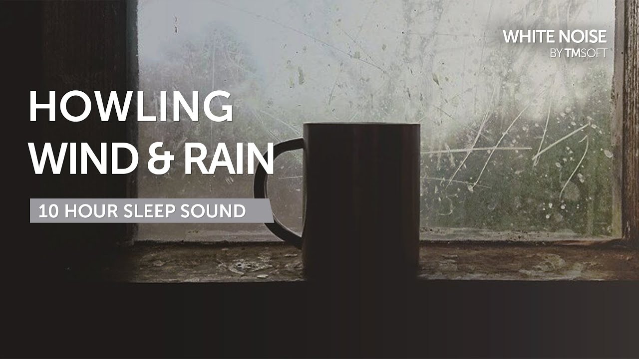 Howling Wind And Rain Sleep Sound 10 Hours Black Screen Youtube