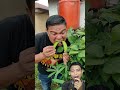 Makan kecipir #eating #food #mukbang #satisfying