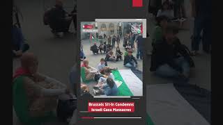 Brussels Sit In Condemns Israeli Gaza  Massacres