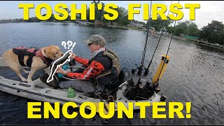 TOSHI IS SURPRISED!  UNEXPECTED CATCH!