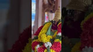 Srirangam Radhotsava 🙏 03/02/2023 🙏(1)