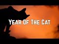 Al Stewart - Year Of The Cat (Lyrics)