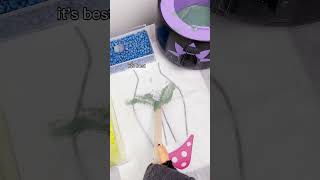 Bikini WAX Tiny Hands Tips 👙