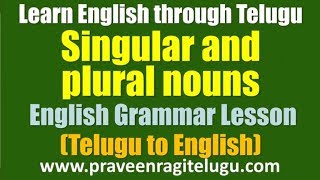 TTEG0023 - Singular and plural nouns - Learn English through Telugu - WM