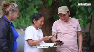 Turpan in China's Xinjiang turns grape leaves into gold