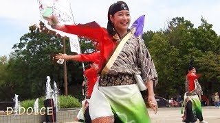 【#1】《夏龍颯爽》大江戸ソーラン祭り 2017/09/03 第2ステージ